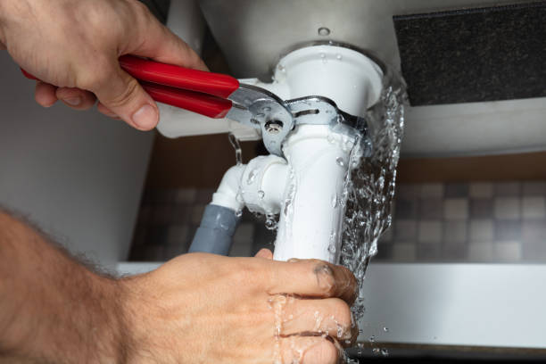 Best Flooded house restoration  in Shively, KY