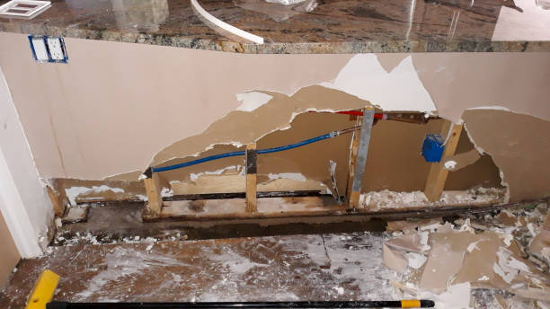 Best Ceiling water damage repair  in Shively, KY