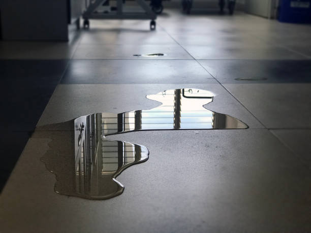 Best Water damage restoration near me  in Shively, KY