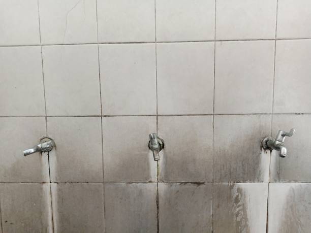 Best Sewage cleanup and water damage restoration  in Shively, KY