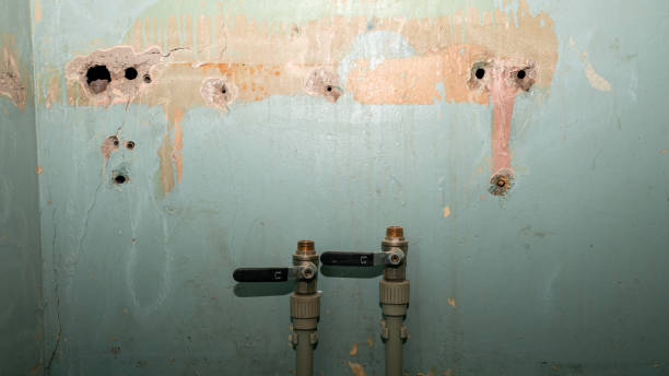 Water damage restoration mold remediation in Shively, KY