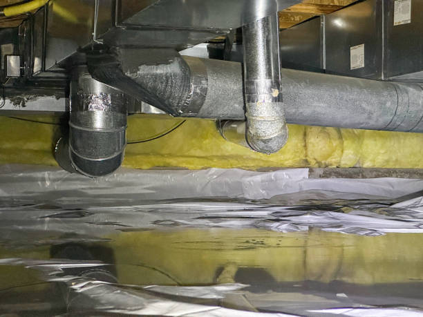 Best Flood restoration services  in Shively, KY