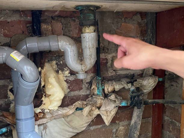 Best 24/7 water damage repair  in Shively, KY