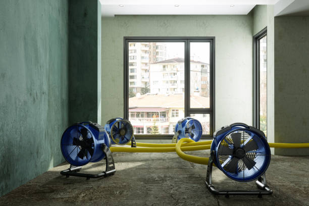Best 24-hour water damage restoration  in Shively, KY